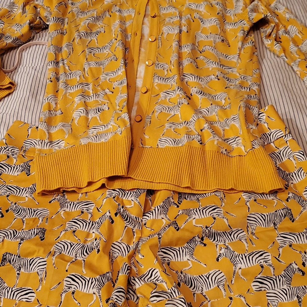 Super cute cardigan and short set. Only women once